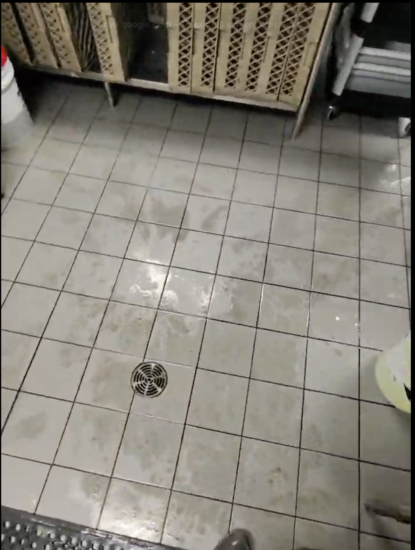 Drain de plancher d’une cuisine commerciale retrouvant un écoulement normal après un nettoyage professionnel effectué par Flow Pro Drain.
