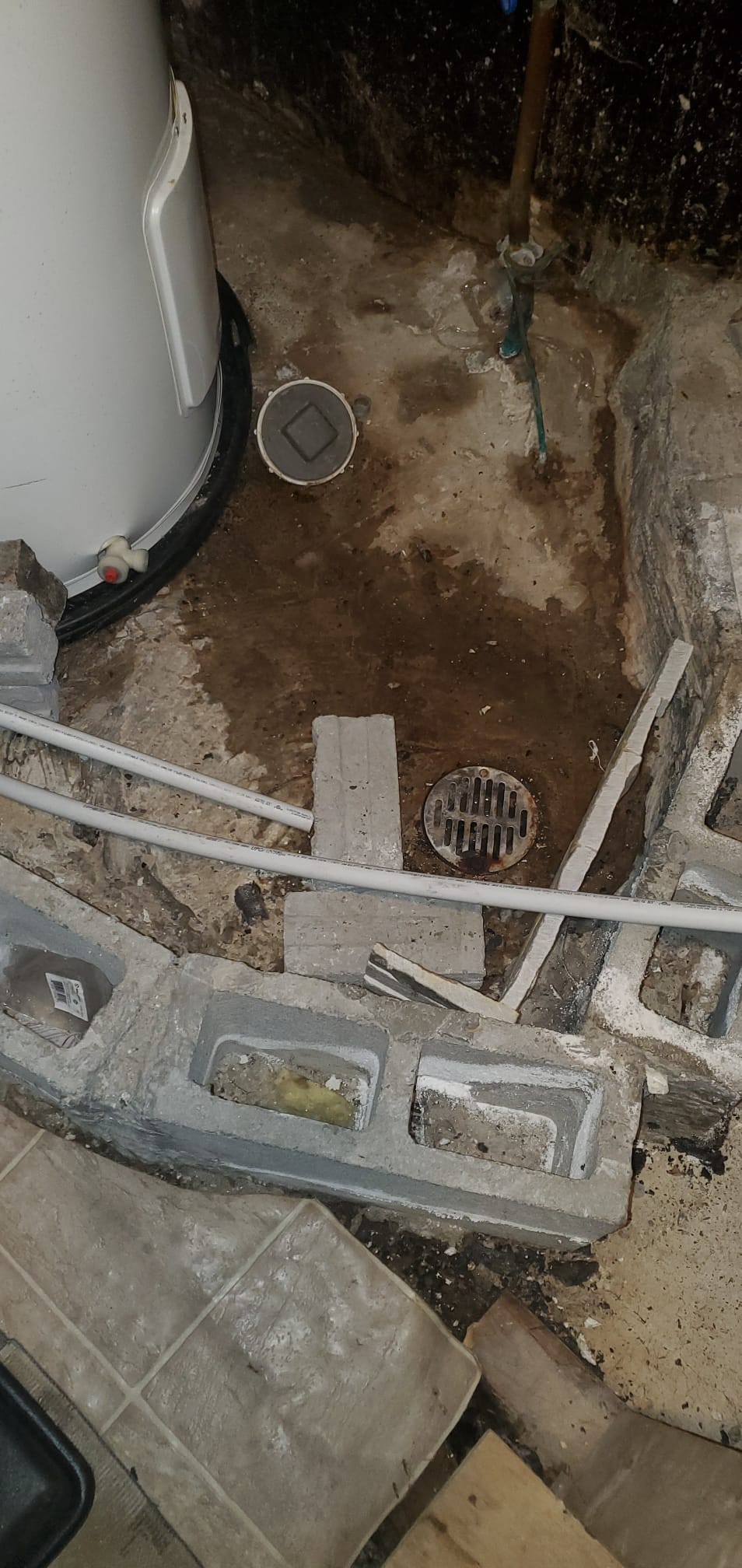 Drain de plancher dans un sous-sol résidentiel pouvant être à l'origine d'une odeur d'égout en raison d'un siphon sec ou d'un problème de drainage.