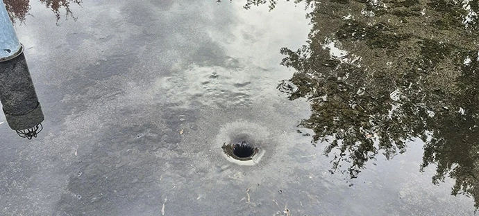 Water pooling on a paved surface around an outdoor drainage hole with tree reflections.